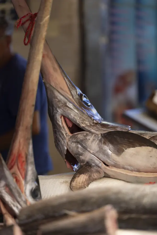palazzo sovrana teatro massimo palermo